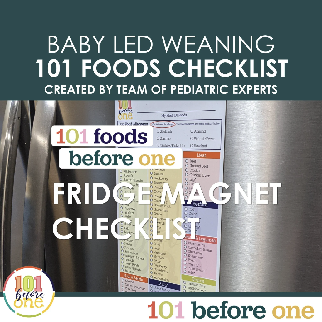 101-foods-checklist-pdf-download